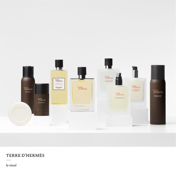 Hermès Terre d'Hermès - Eau de toilette