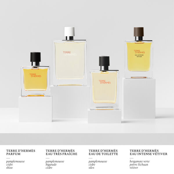 Hermès Terre d'Hermès - Eau de toilette