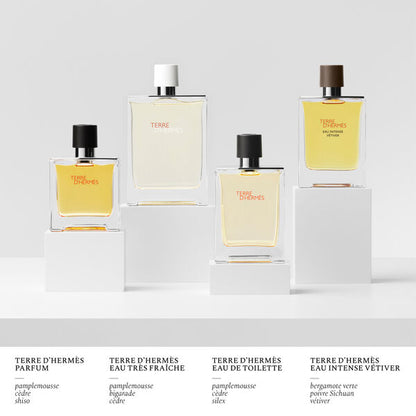 Hermès Terre d'Hermès - Eau de toilette