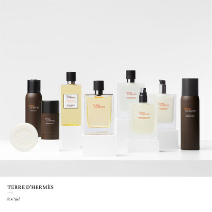 Hermès Terre d'Hermès - Eau de toilette